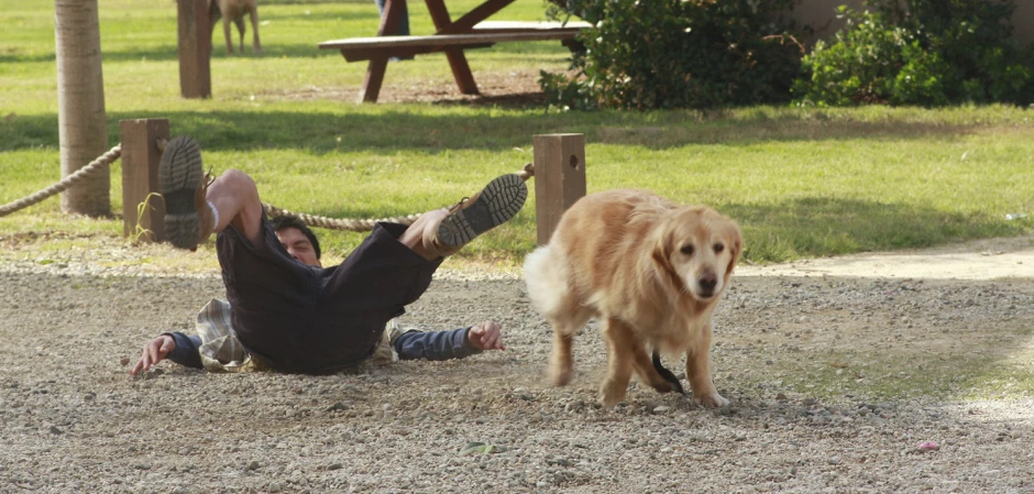 Кадры Отчаянные домохозяйки 4 сезон 13 эпизод