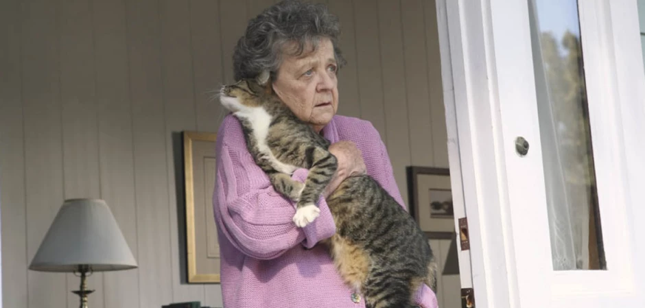 Кадры Отчаянные домохозяйки 3 сезон 8 эпизод