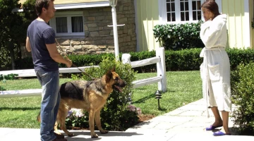 Кадры Отчаянные домохозяйки 1 сезон 2 эпизод