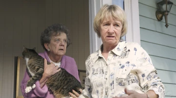 Кадры Отчаянные домохозяйки 3 сезон 8 эпизод