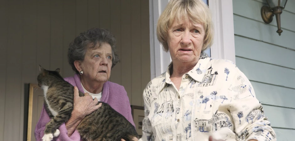 Кадры Отчаянные домохозяйки 3 сезон 8 эпизод