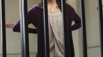 Отчаянные домохозяйки 6 сезон 7 серия