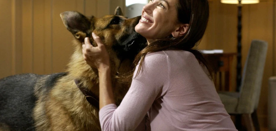 Кадры Отчаянные домохозяйки 1 сезон 2 эпизод