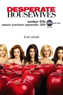 О турецком сериале «Отчаянные домохозяйки»